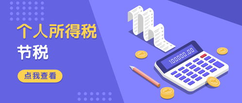 咨詢服務(wù)個(gè)稅綜合2.06